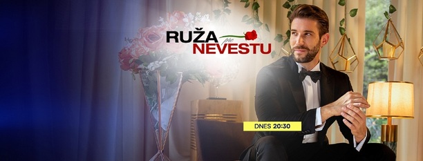 Ruža pre milionára