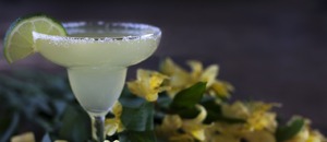 margarita