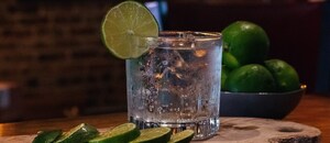 Recepty na drink Gin & tonic Recepty na drink Gin & tonic