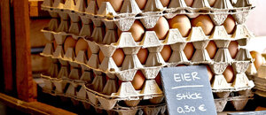 Vývoj cien vajec na svetových trhoch