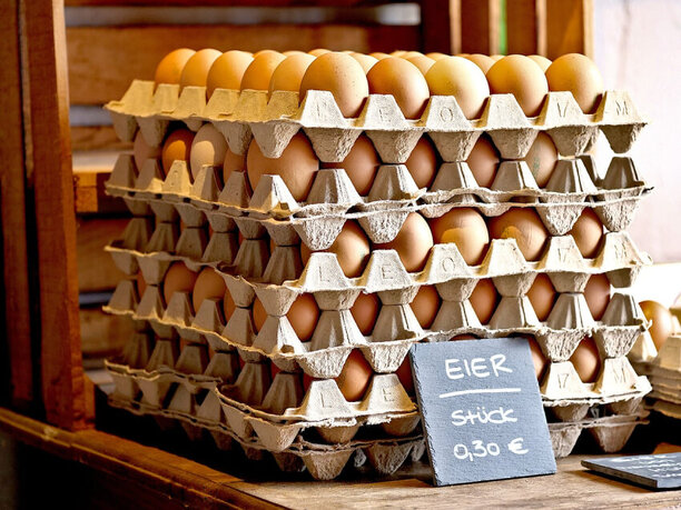 Vývoj cien vajec na svetových trhoch