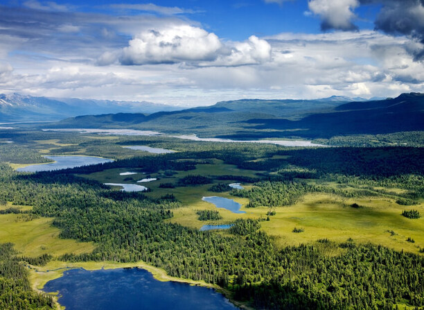 Národný park Denali, Aljaška