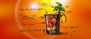 Ako pripraviť drink Bloody Mary - recept a ingrediencie